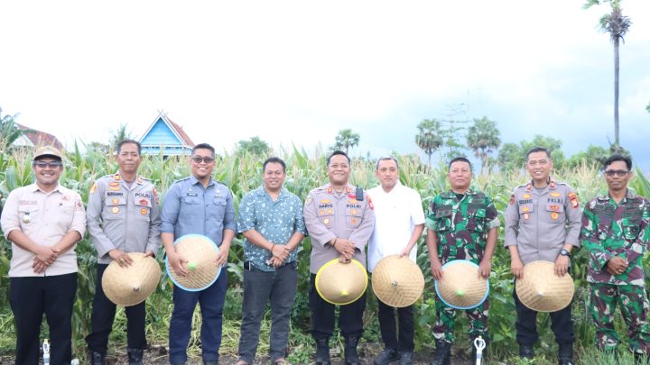 Wujudkan Kemandirian Pangan, Bupati Jeneponto Hadiri Panen Raya Jagung Nasional dan Peresmian Fasilitas Pangan Wujudkan Kemandirian
