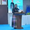 Hari Jadi ke-163