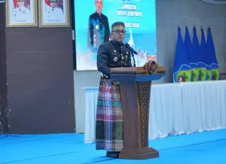 Hari Jadi ke-163