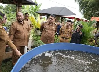 Urban Farming Makassar