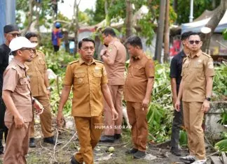 Bupati sidrap