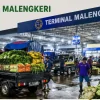 Terminal Malengkeri