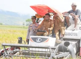 Pemda Sidrap