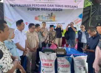 Pupuk subsidi Rongkong
