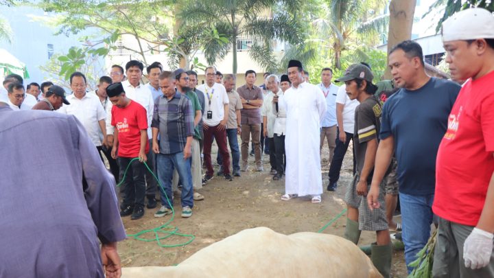 Semangat Berbagi, Kolaborasi AAS Foundation, Tiran Group, dan IKA Unhas Salurkan Daging Kurban untuk Sesama Andi Amran Sulaiman