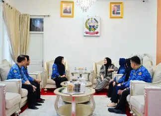 Pemprov Sulsel