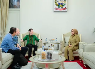 Wakil Gubernur Sulsel