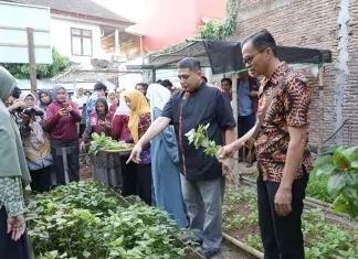 Wali Kota Makassar Apresiasi Urban Farming Tammua, Lahan Terbatas Bisa Bernilai Ekonomi