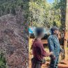 perambahan hutan