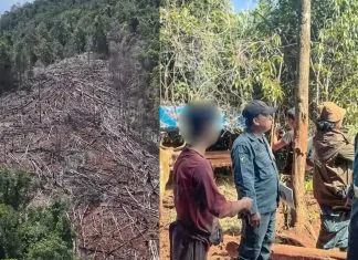 perambahan hutan