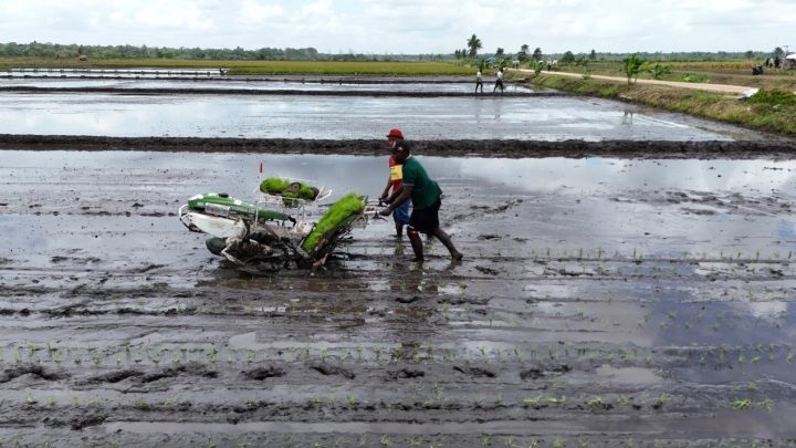 Mentan Amran Jawab Isu "Pesta Babi" di Merauke: Yang Kami Bangun Adalah Pesta Pangan Menteri Pertanian