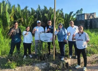 BPJS Ketenagakerjaan Sulawesi Maluku Tanam Pohon Tabebuya, Dukung Penghijauan Kota Makassar