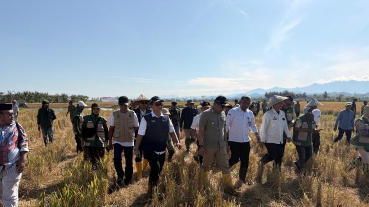 Pupuk Indonesia Pastikan Stok Pupuk Aman, Dukung Panen Raya dan Percepatan Swasembada Pangan di Barru Pupuk Indonesia