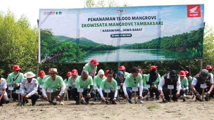 AHM Bangun Rumah Semai dan Tanam 15.000 Mangrove, Perkuat Ekowisata Tambaksari Karawang AHM