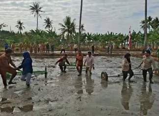Kementerian Pertanian