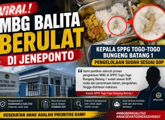Viral MBG