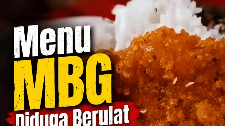 Viral Video Menu MBG Balita Diduga Berulat di Jeneponto, Warganet Minta Evaluasi