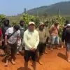 APL