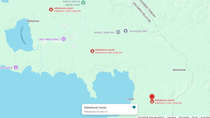 Identitas Para Terduga Pelaku Karhutla di Luwu Timur Sudah Dikantongi Aparat, Motifnya untuk Buka Kebun Balai Gakkum