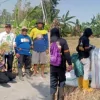 Kemarau