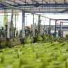 Pertamina Patra Niaga