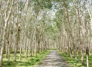 Pemkab Bulukumba