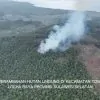 Tindak Pidana Kehutanan