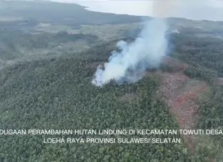 Tindak Pidana Kehutanan