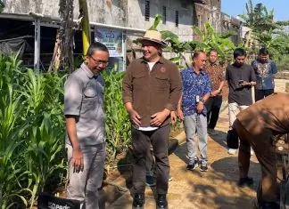 Fadli Padi