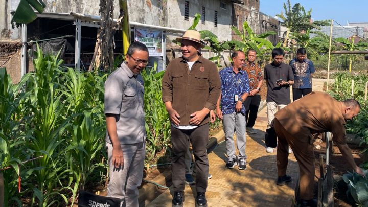Fadli Padi Kunjungi Urban Farming yang Dikelola Disabilitas Fadli Padi