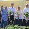 Urban Farming Pisang Selatan