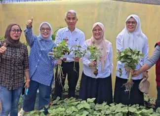 Urban Farming Pisang Selatan