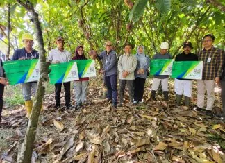 Lindungi Petani Kakao, BPJS Ketenagakerjaan Perluas Jaminan Sosial untuk Perkuat Industri Kakao Nasional