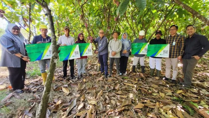 Lindungi Petani Kakao, BPJS Ketenagakerjaan Perluas Jaminan Sosial untuk Perkuat Industri Kakao Nasional Pangkep