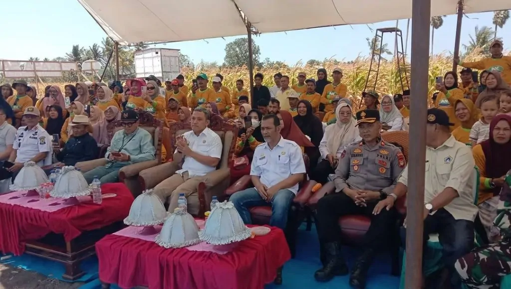 Dorong Produktivitas Pertanian, Bupati Jeneponto Hadiri Panen Raya dan Expo Benih Jagung Perkasa Sakti