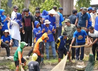 bupati sidrap