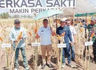 Dorong Produktivitas Pertanian