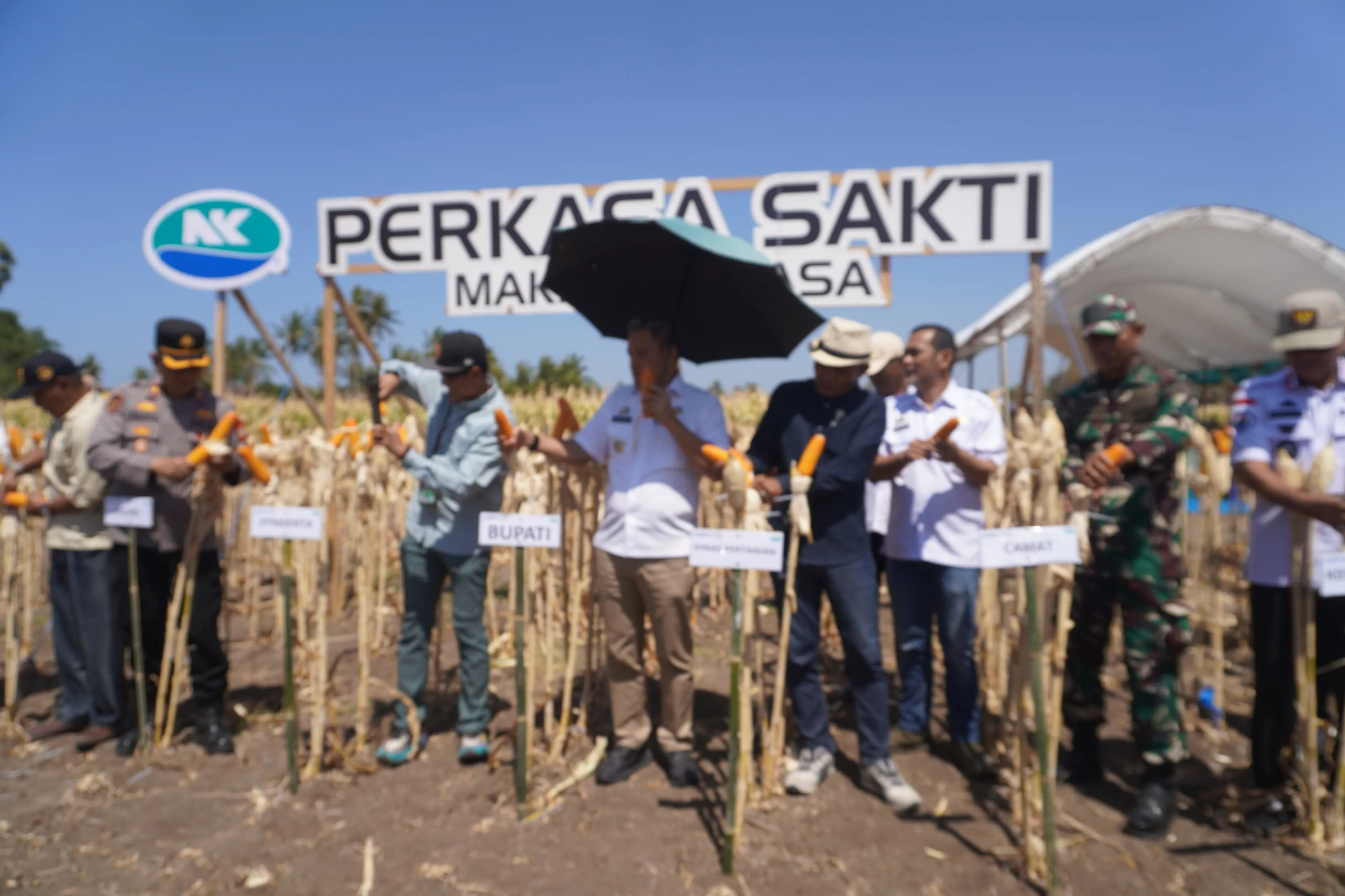 Dorong Produktivitas Pertanian, Bupati Jeneponto Hadiri Panen Raya dan Expo Benih Jagung Perkasa Sakti